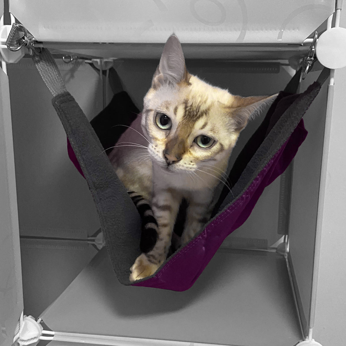 Kitty Cubby modular cat tower with hideaway — product view 8