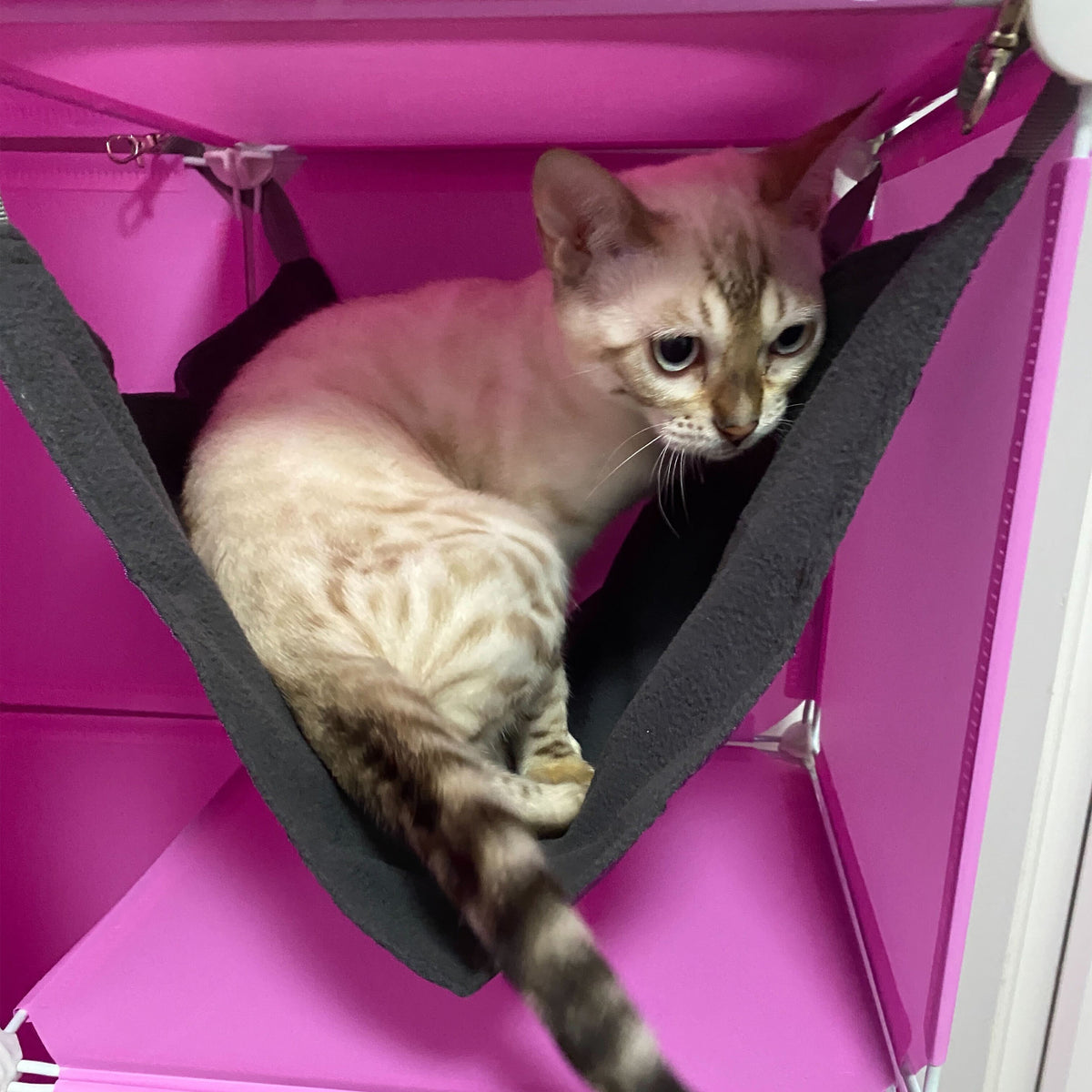 Kitty Cubby modular cat tower with hideaway — product view 9
